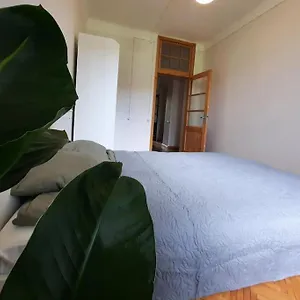 Teika Apartment